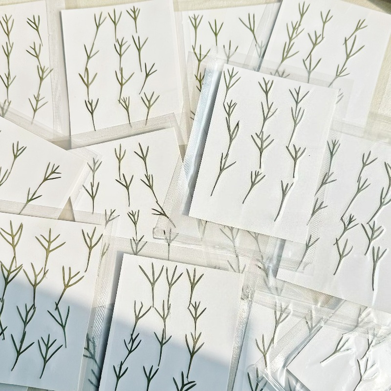 24pcs,Real Pressed Achillea Le - Resin Art Bookmark ulasan dan harga