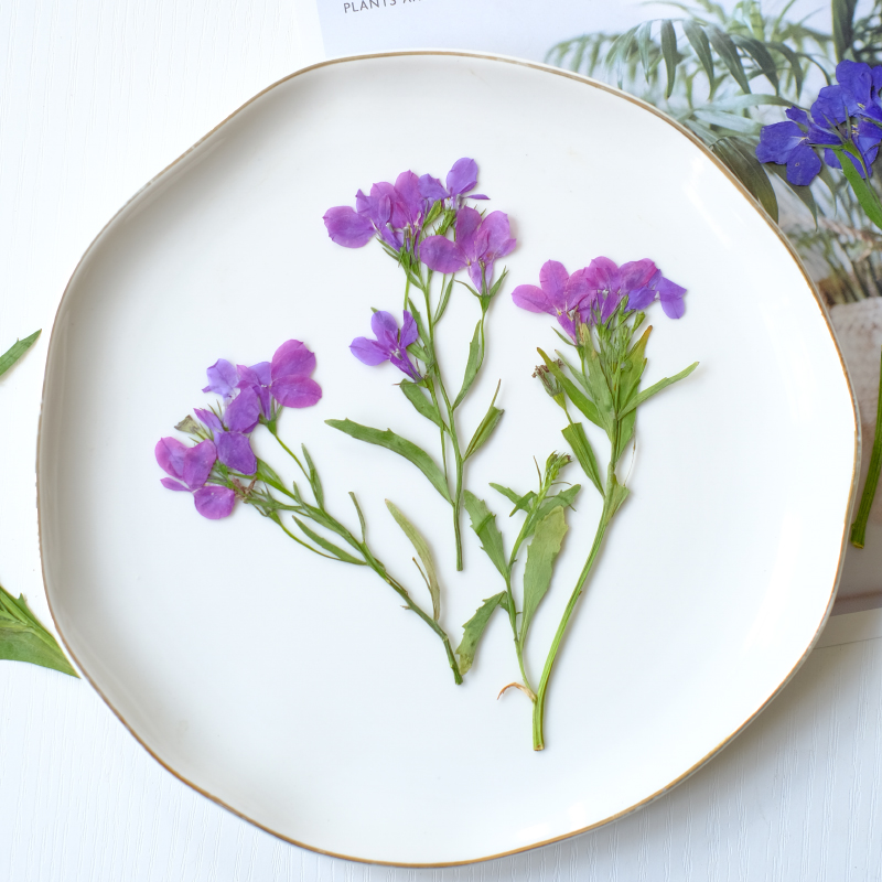 6pcs/8-13cm,nature Lobelia Eri - Resin Art Bookmark ulasan dan harga